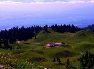  在山地牧场徒步旅行